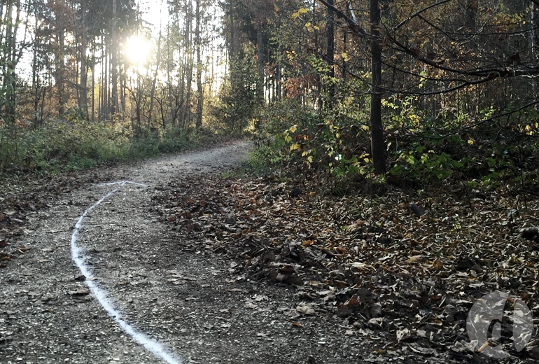 Was kommt, was bleibt? Rückblick und Vorschau Delicious Design