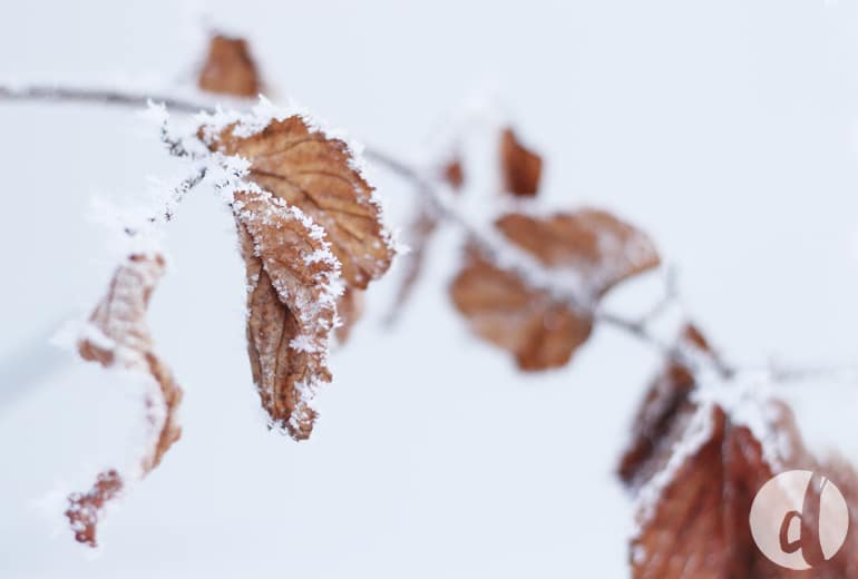 Wie du Zeit für dein Business findest